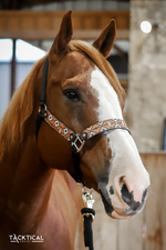 Load image into Gallery viewer, SANDSTORM LEATHER HALTER