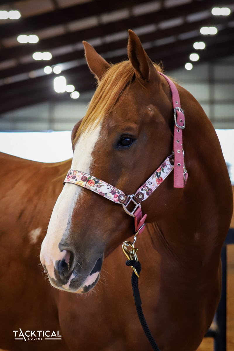 WILDFLOWER LEATHER HALTER BY TACKTICAL™