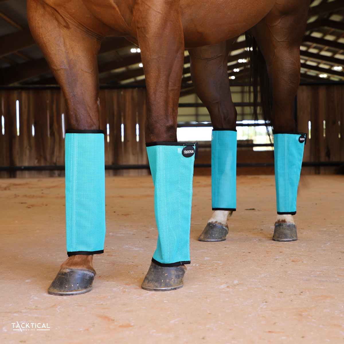 Turquoise horse boots sale