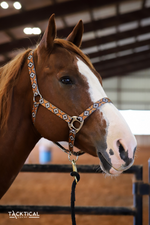 Load image into Gallery viewer, SANDSTORM NYLON HALTER