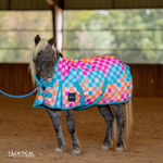 Load image into Gallery viewer, DIEGO MINI/FOAL TURNOUT SHEET