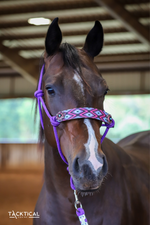 Load image into Gallery viewer, KAYCIE DESIGN WITH CONCHOS ROPE HALTER BY TACKTICAL™