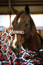 Load image into Gallery viewer, SARITA DESIGN WITH CONCHOS ROPE HALTER