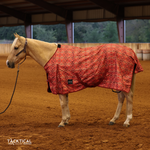 Load image into Gallery viewer, CHEYENNE AZTEC 1200D TURNOUT SHEET