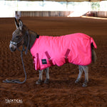 Load image into Gallery viewer, HOT PINK MINI/FOAL WINTER BLANKET