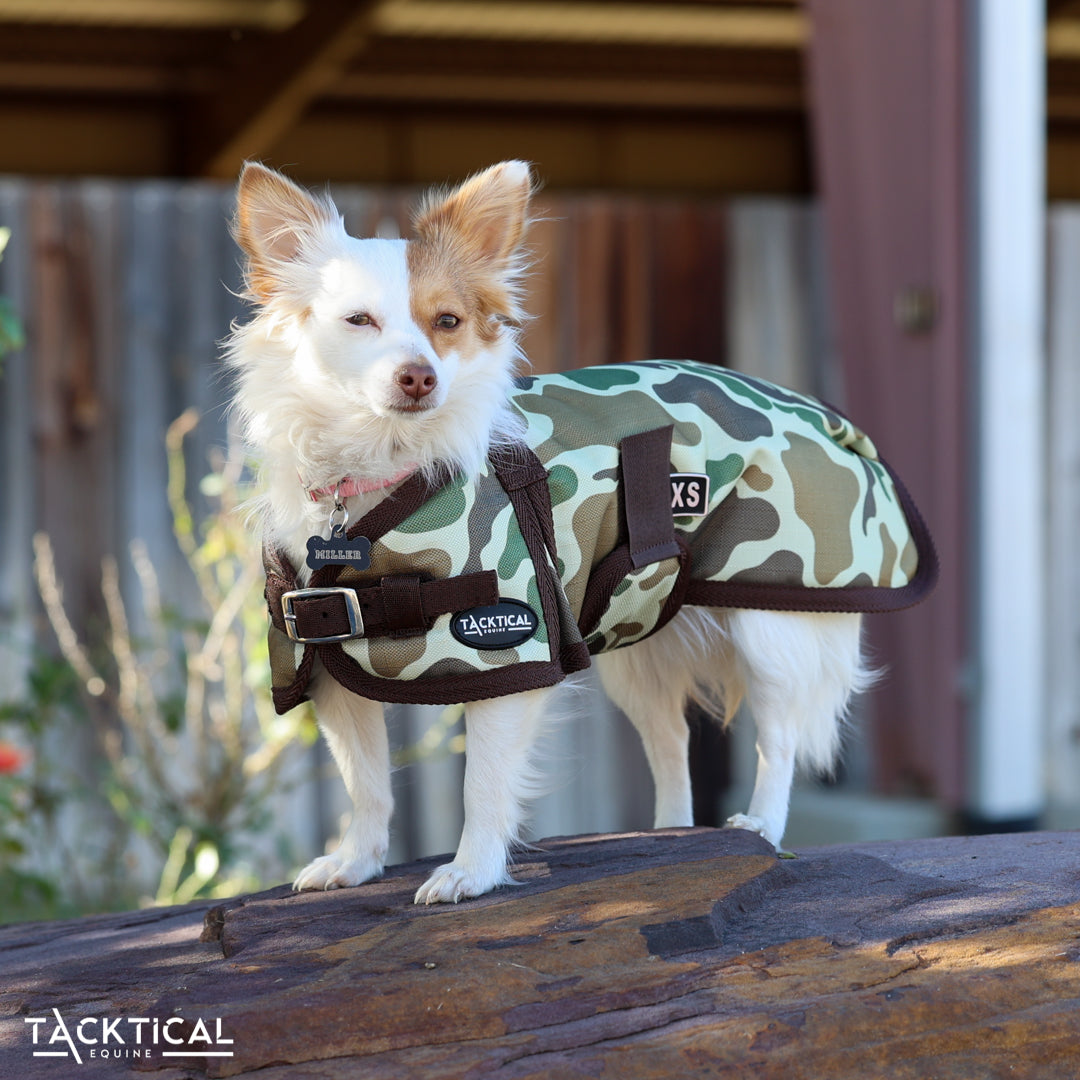 DUCK HUNT DOG BLANKET – Tacktical