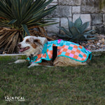 Load image into Gallery viewer, DIEGO DOG BLANKET