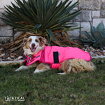 Load image into Gallery viewer, HOT PINK DOG BLANKET