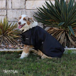 Load image into Gallery viewer, BLACK DOG BLANKET