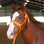 Load image into Gallery viewer, MULE TAPE HALTER