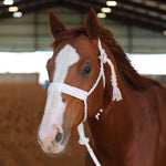 Load image into Gallery viewer, 🎁 MULE TAPE HALTER (100% off)