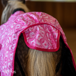 Load image into Gallery viewer, MOMMY'S MONEY MINI/FOAL WINTER BLANKET