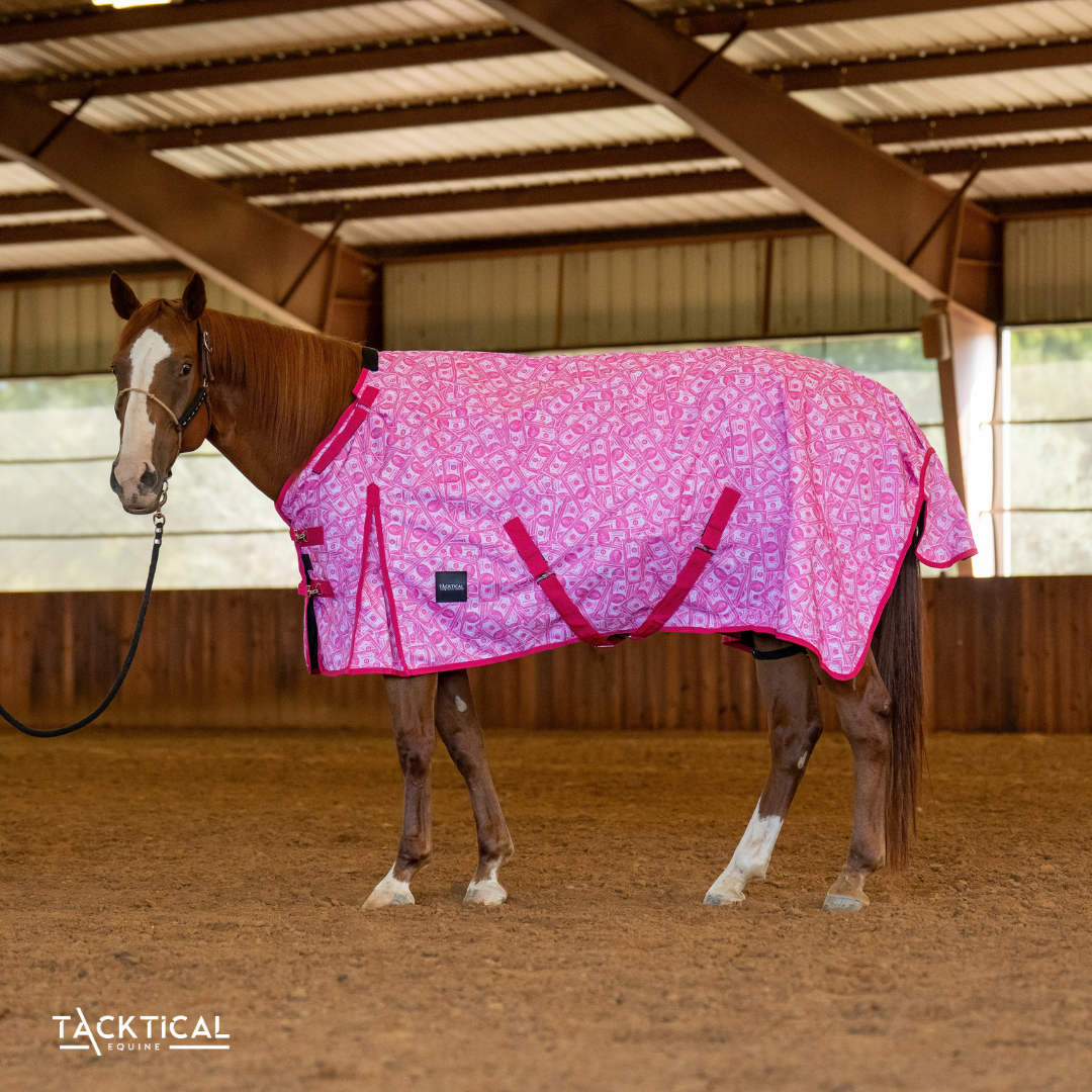 MOMMY'S MONEY 1200D TURNOUT SHEET