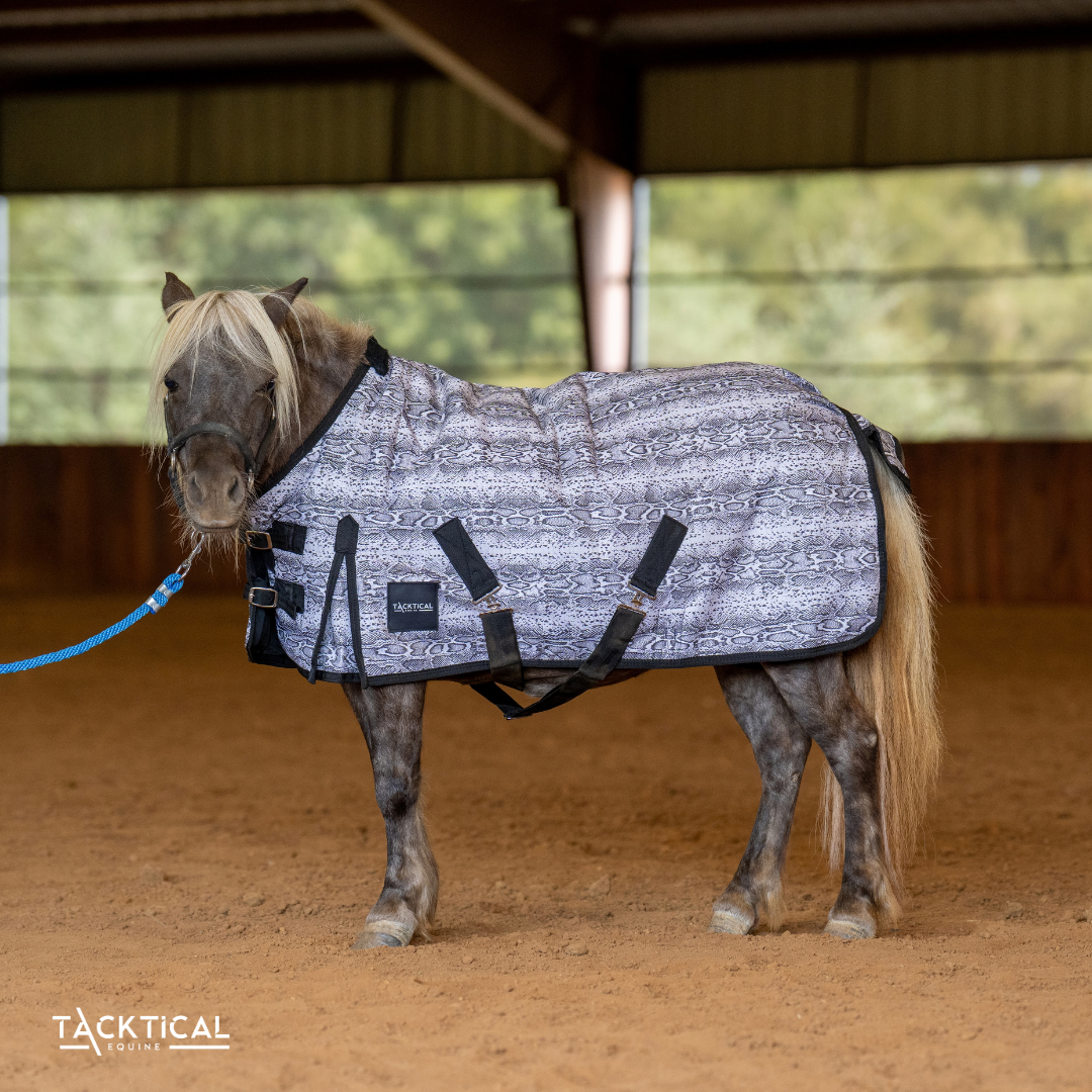 VIPER MINI/FOAL WINTER BLANKET