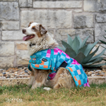 Load image into Gallery viewer, DIEGO DOG BLANKET