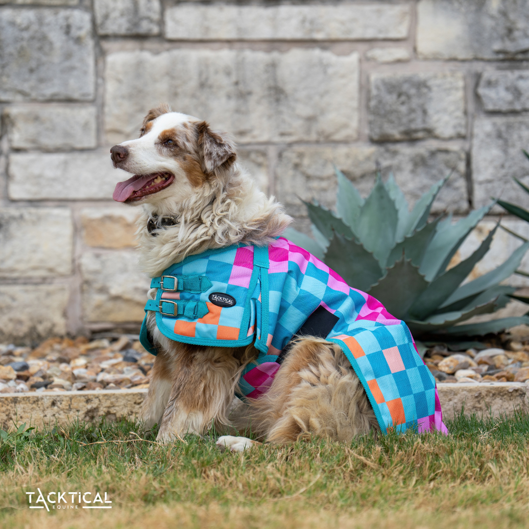DIEGO DOG BLANKET