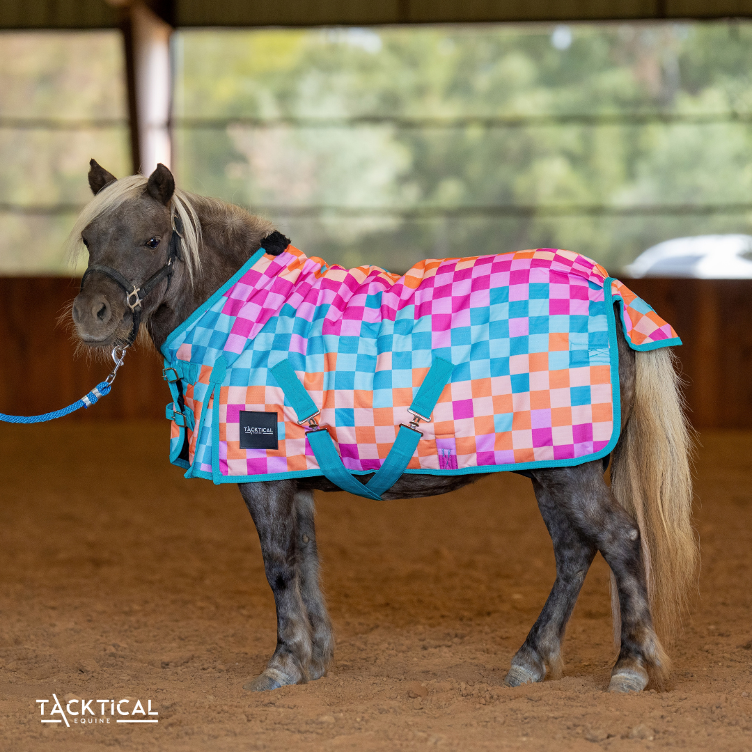 DIEGO MINI/FOAL WINTER BLANKET