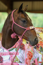 Load image into Gallery viewer, WILDFLOWER MULE TAPE HALTER BY TACKTICAL™
