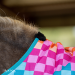 Load image into Gallery viewer, DIEGO MINI/FOAL WINTER BLANKET