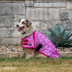 Load image into Gallery viewer, MOMMY'S MONEY DOG BLANKET