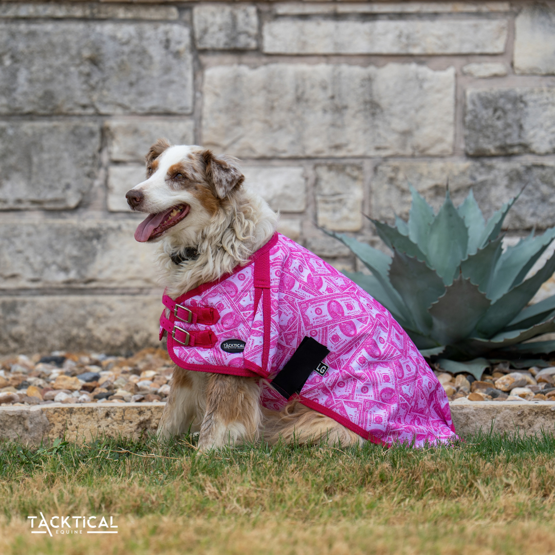 MOMMY'S MONEY DOG BLANKET