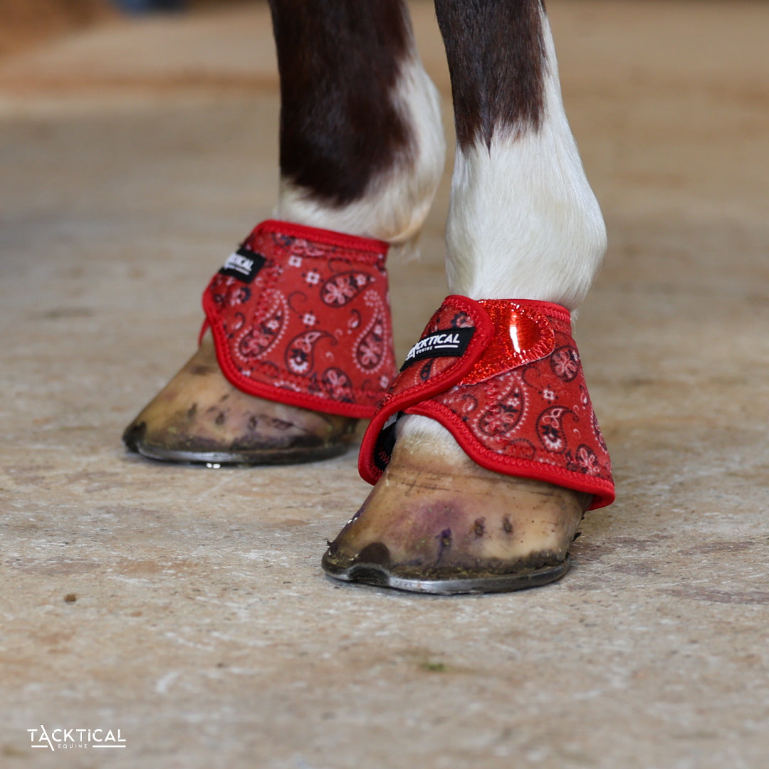 RED BANDANA WITH SPARKLE VELCRO BELL BOOTS