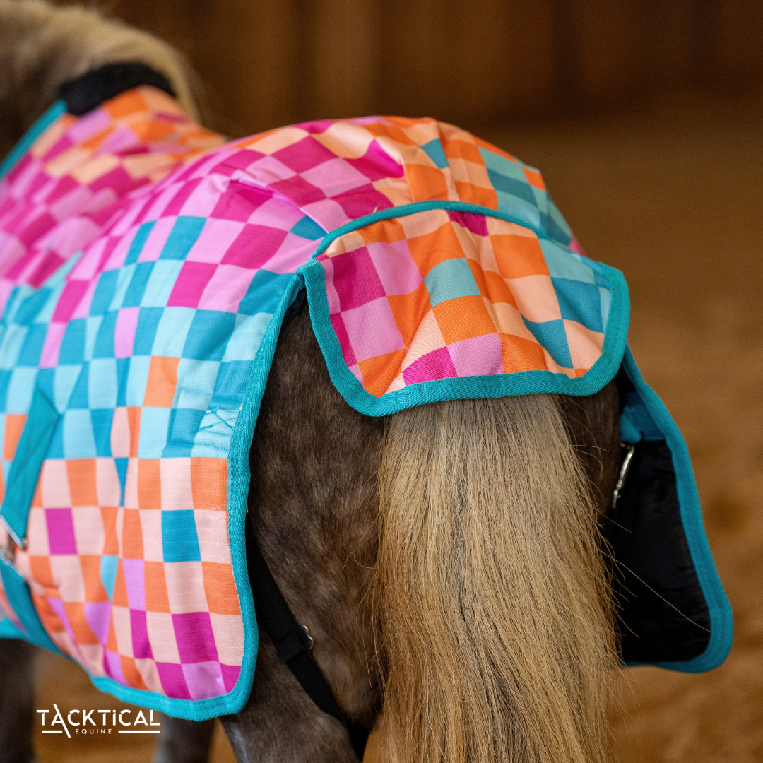 DIEGO MINI/FOAL WINTER BLANKET