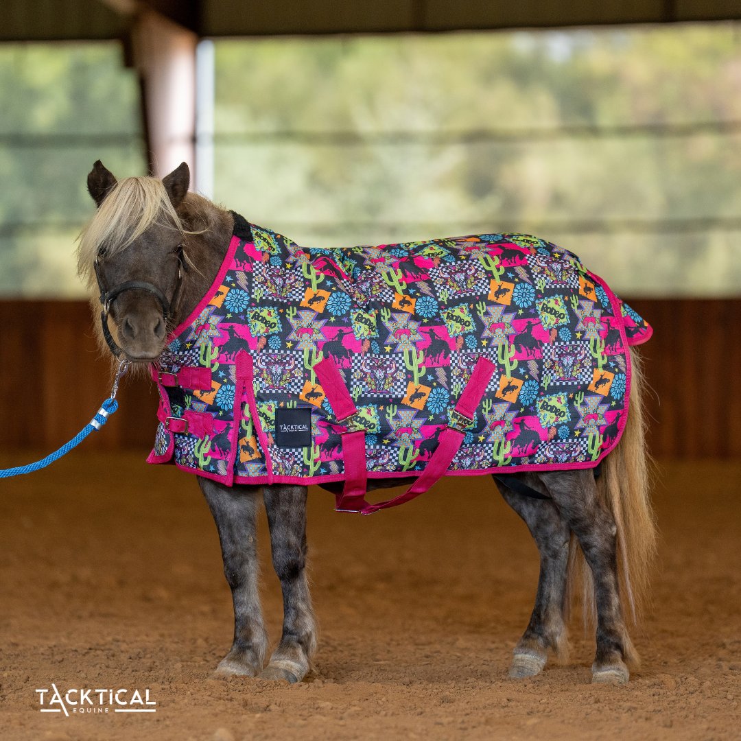 WESTERN NEON MINI/FOAL TURNOUT SHEET