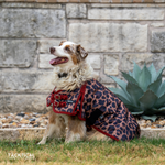 Load image into Gallery viewer, LEOPARD DOG BLANKET