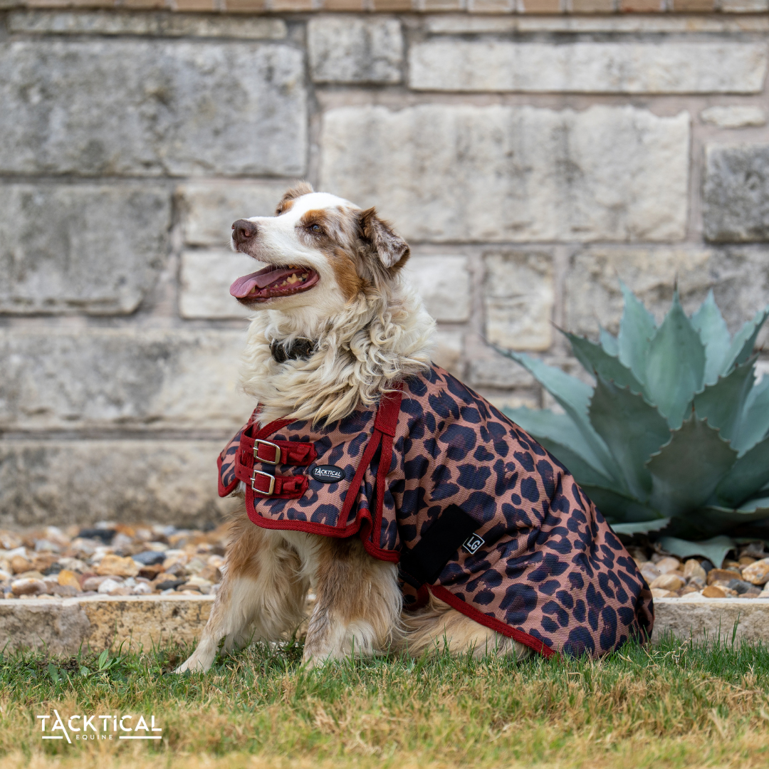 LEOPARD DOG BLANKET