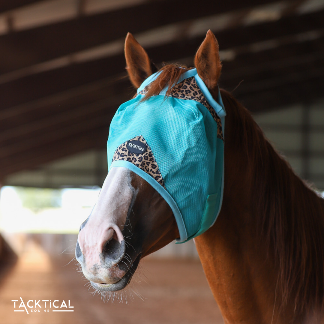 LEOPARD & MINT DELUXE FLY MASK