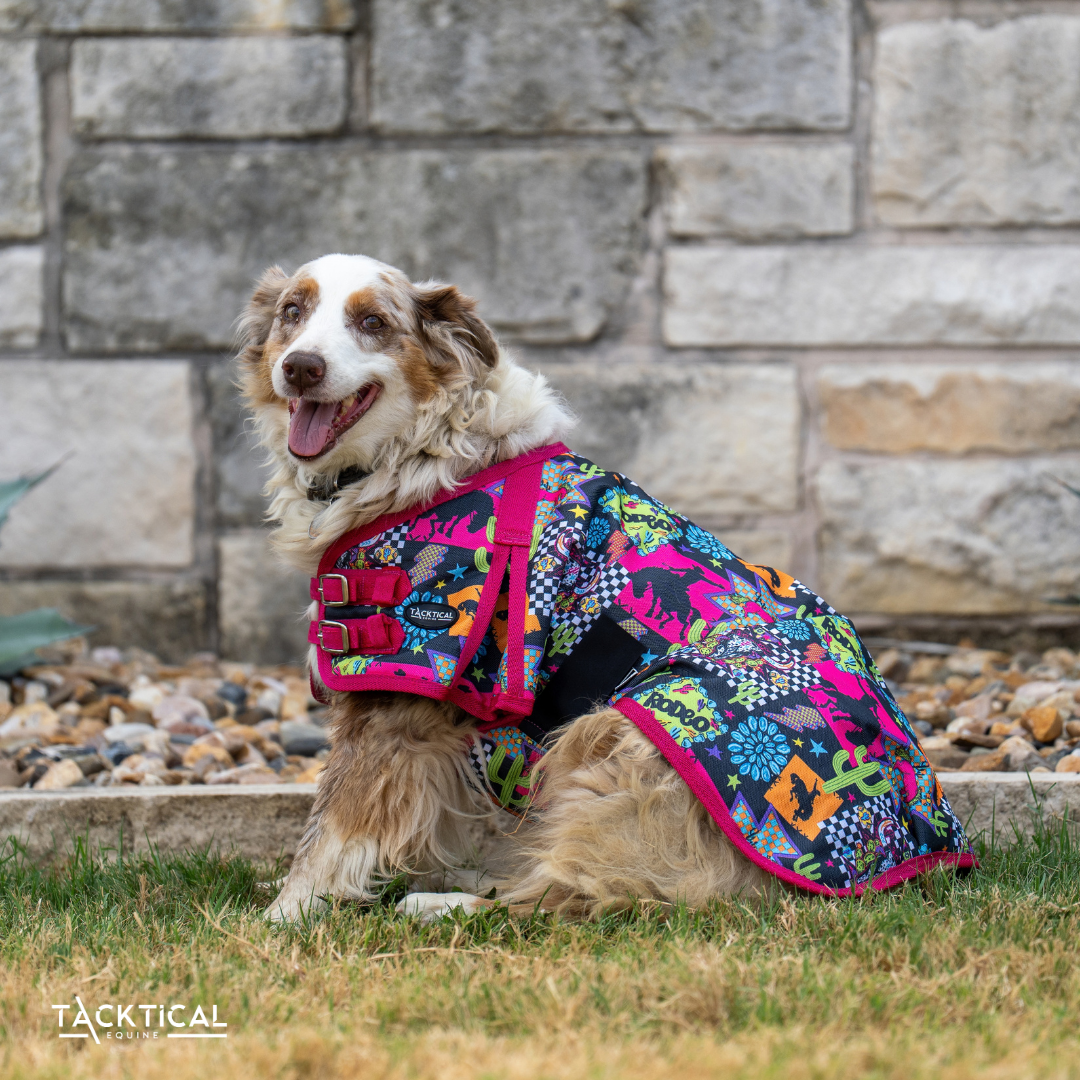 WESTERN NEON DOG BLANKET