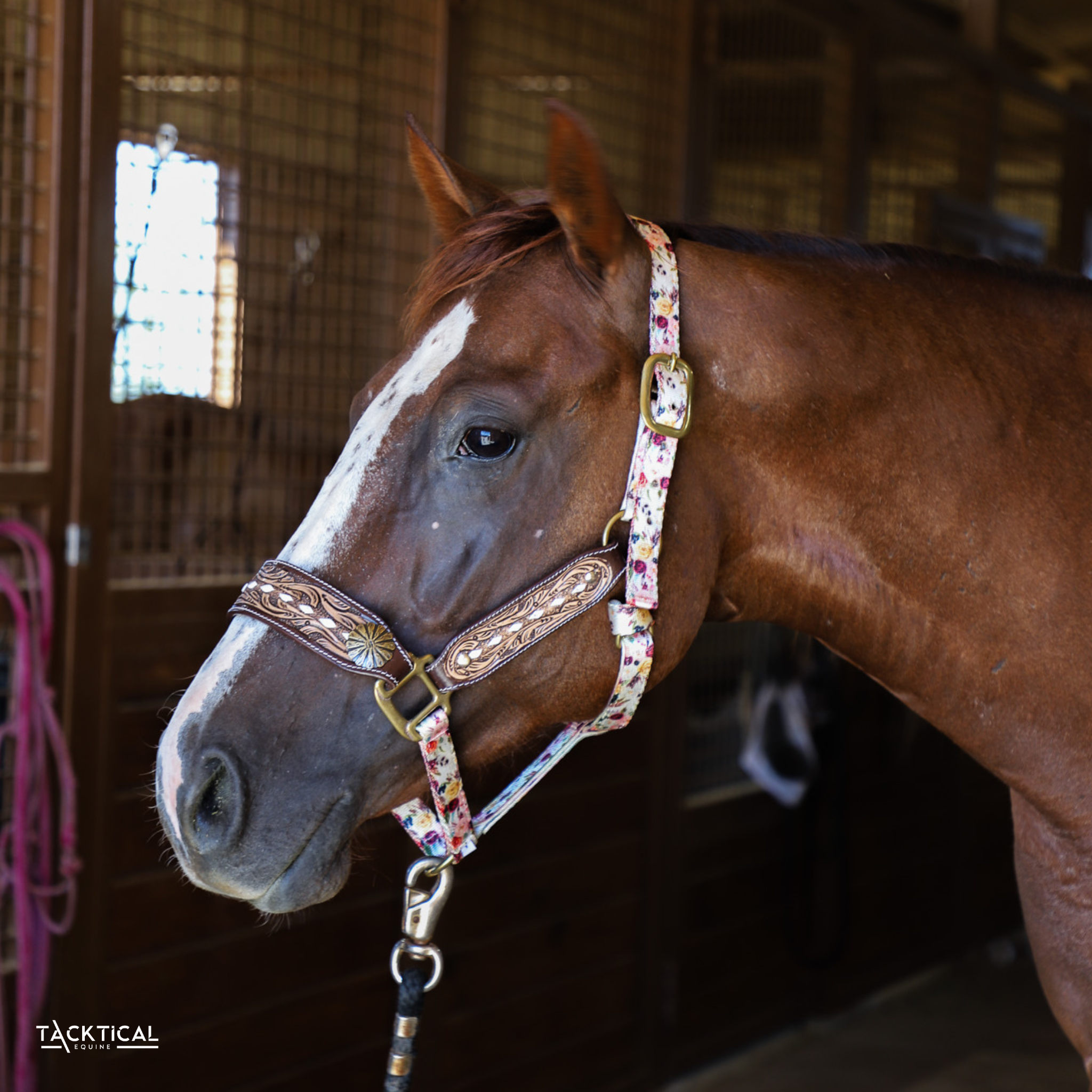 Flower Tooled Bronc Halter - DEUCES WILD TACK LLC