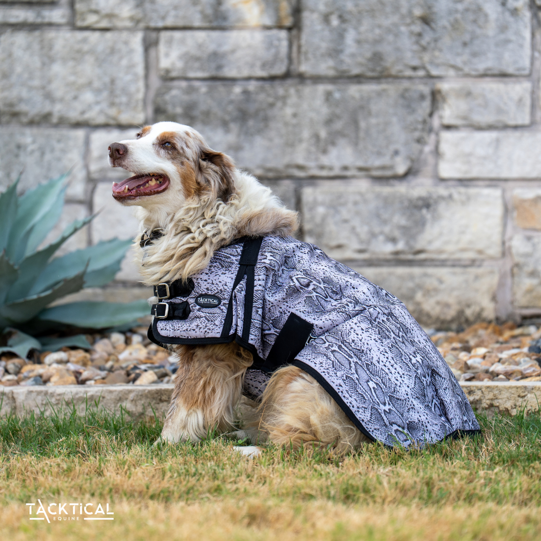 VIPER DOG BLANKET