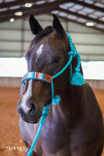 Load image into Gallery viewer, TEAL SERAPE MULE TAPE HALTER BY TACKTICAL™