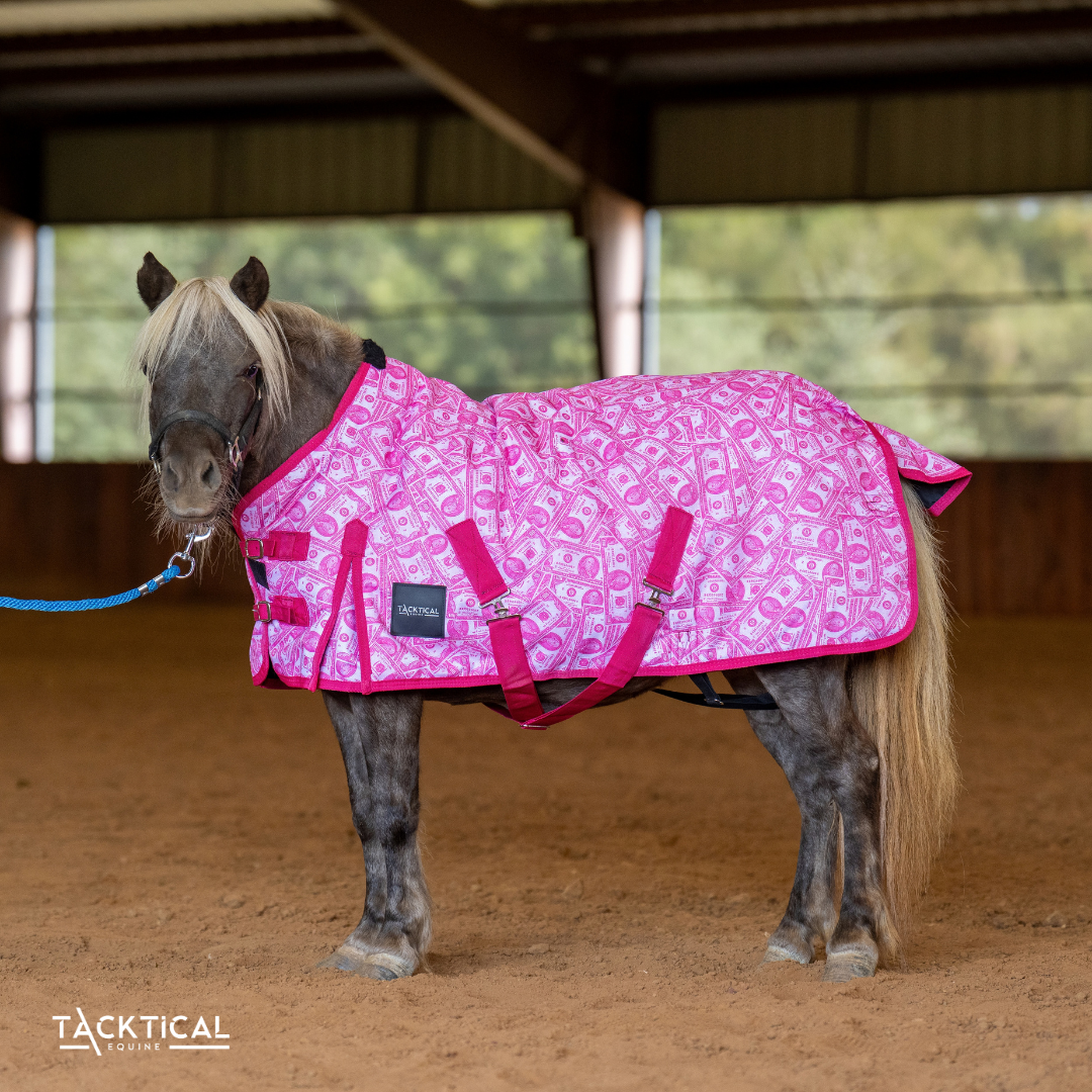 MOMMY'S MONEY MINI/FOAL TURNOUT SHEET