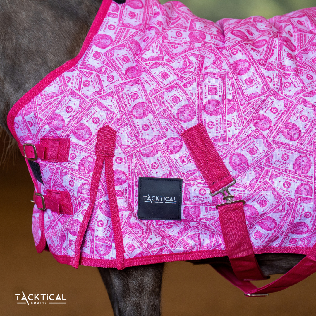 MOMMY'S MONEY MINI/FOAL TURNOUT SHEET
