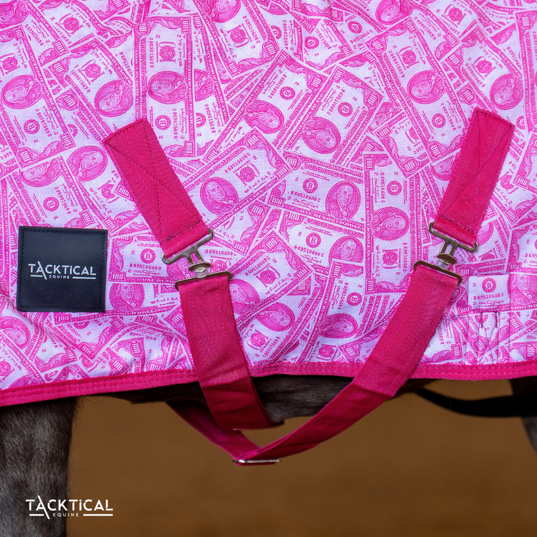 MOMMY'S MONEY MINI/FOAL WINTER BLANKET