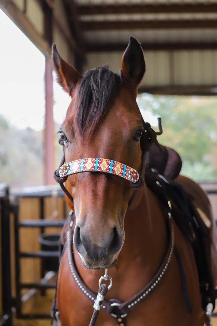 ATOKA DESIGN WITH CONCHOS ROPE HALTER