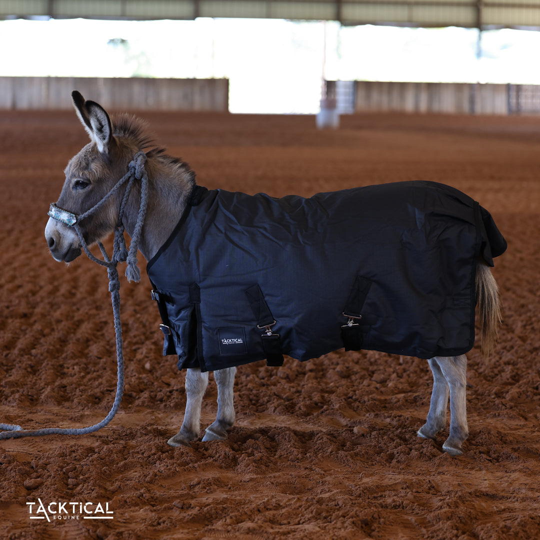 BLACK MINI/FOAL WINTER BLANKET