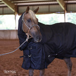 Load image into Gallery viewer, BLACK 1200D PERFECT FIT WINTER BLANKET WITH NECK
