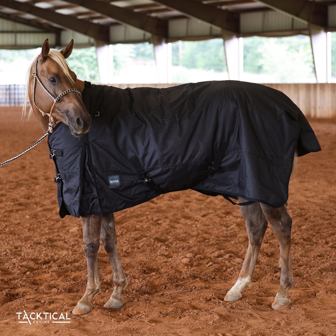 BLACK 1200D PERFECT FIT WINTER BLANKET WITH NECK