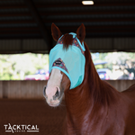 Load image into Gallery viewer, CANYON CACTUS DELUXE FLY MASK
