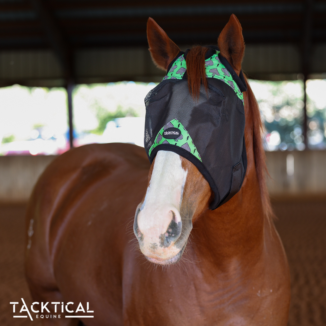 CHECKMATE DELUXE FLY MASK