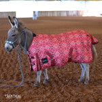 Load image into Gallery viewer, CHEYENNE AZTEC MINI/FOAL WINTER BLANKET

