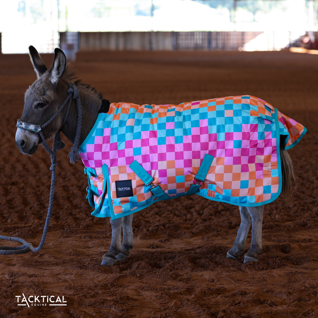 DIEGO MINI/FOAL WINTER BLANKET