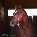 Load image into Gallery viewer, LUXE LARIAT HALTER - PINK
