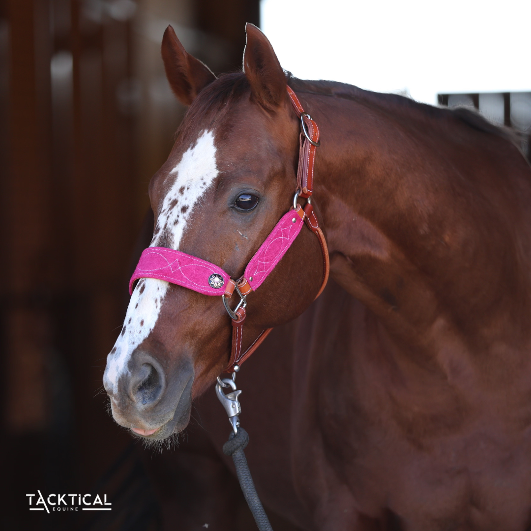 LUXE BRONC NOSE HALTER - PINK
