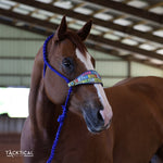Load image into Gallery viewer, BENJIS MULE TAPE HALTER
