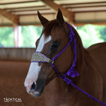 Load image into Gallery viewer, LEOPARD &amp; PURPLE MULE TAPE HALTER
